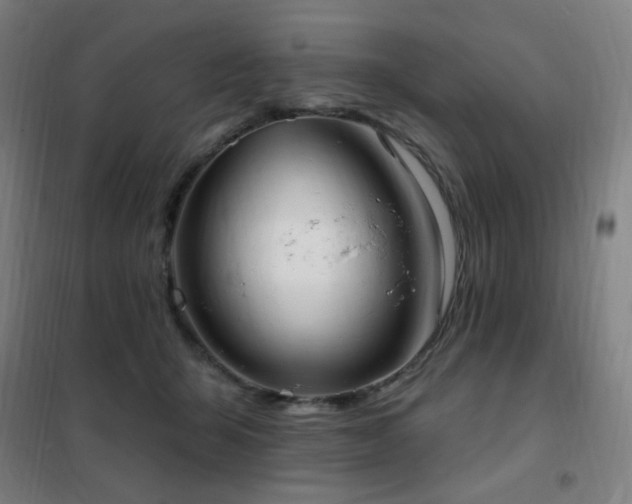 X0000102290415200807251426