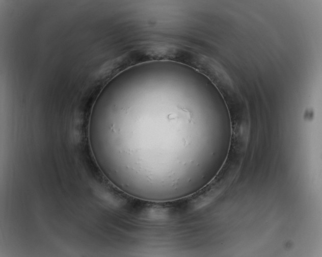 X0000102290416200807251426