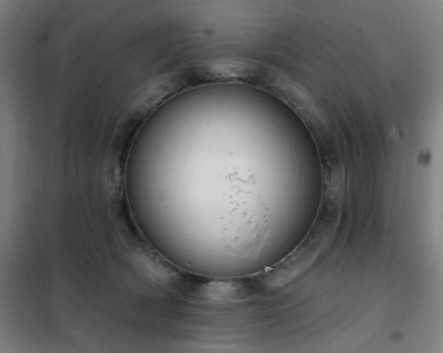 X0000102290418200807251426