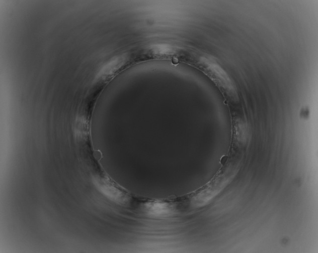X0000102290419200807251426