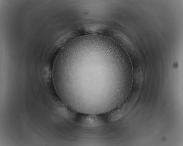 X0000102290420200807251426