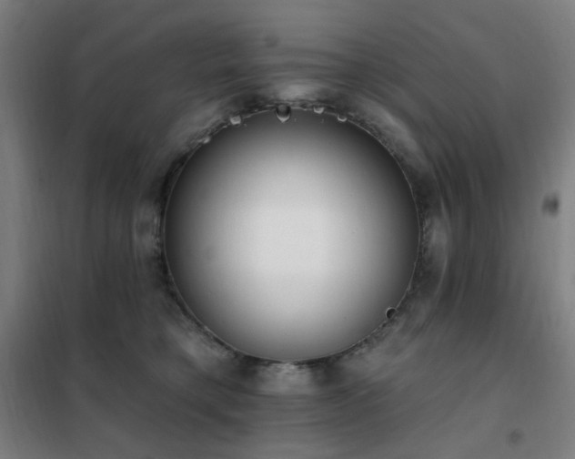 X0000102290421200807251426