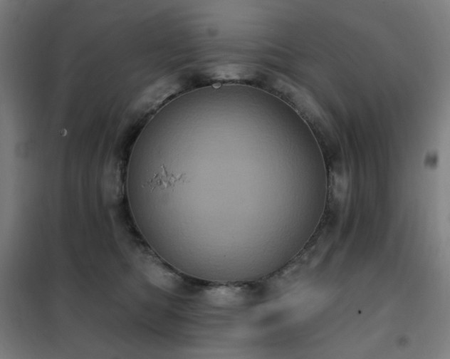 X0000102290422200807251426