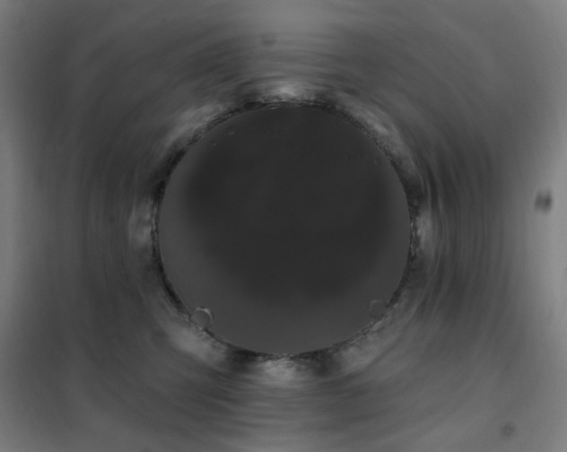 X0000102290423200807251426