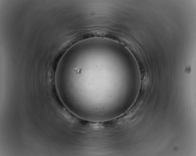 X0000102290424200807251426