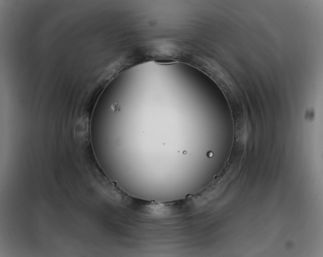 X0000102290425200807251426