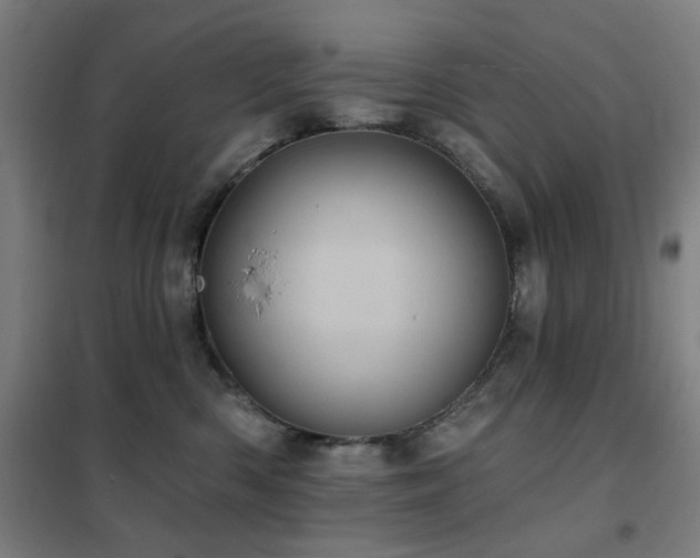 X0000102290426200807251426