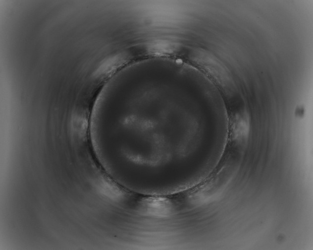 X0000102290427200807251426