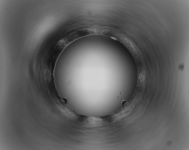 X0000102290429200807251426