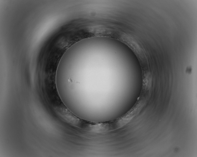 X0000102290430200807251426