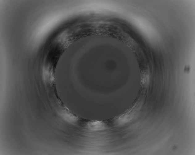X0000102290431200807251426