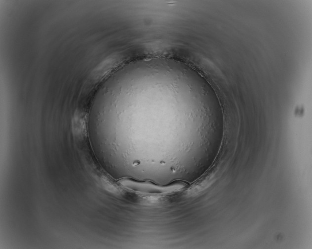 X0000102290432200807251426