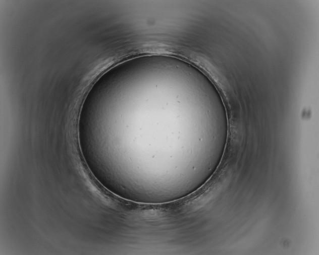 X0000102290433200807251425