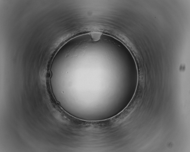 X0000102290434200807251425