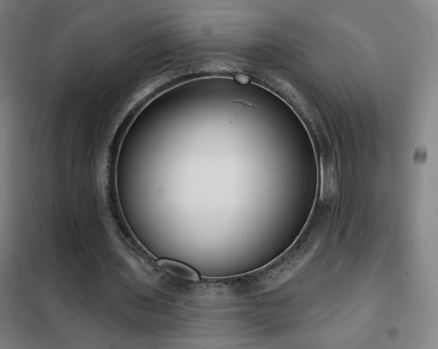 X0000102290435200807251425