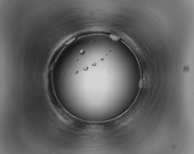 X0000102290436200807251425