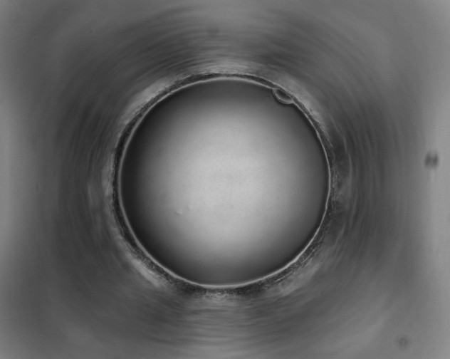 X0000102290437200807251425
