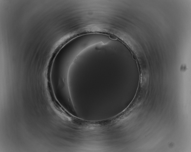 X0000102290438200807251425