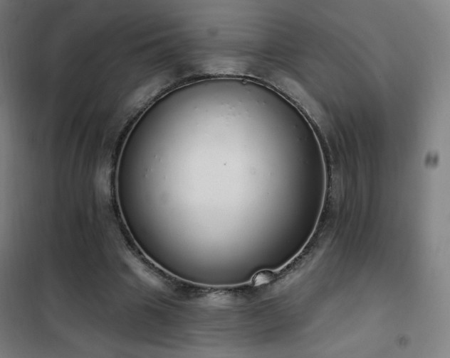 X0000102290441200807251425