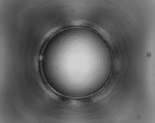 X0000102290442200807251425