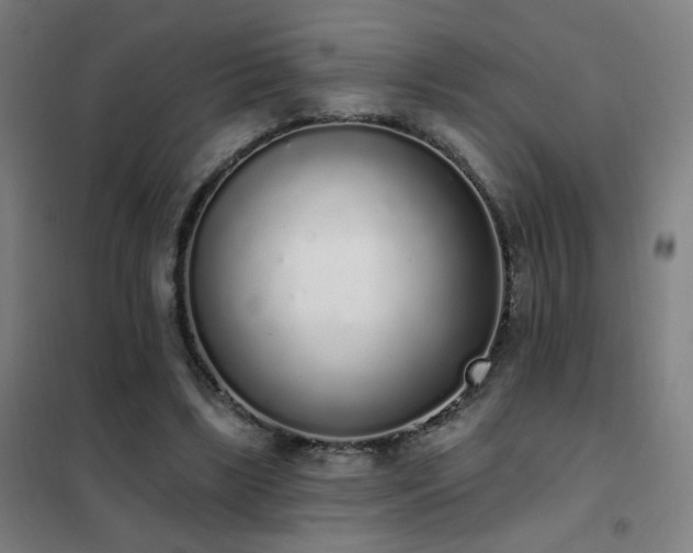 X0000102290443200807251425