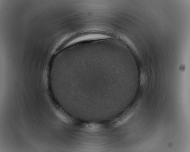 X0000102290444200807251425