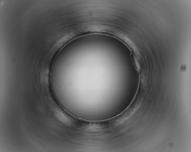 X0000102290445200807251425