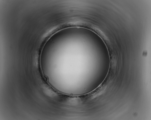 X0000102290446200807251425