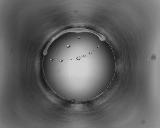 X0000102290448200807251425