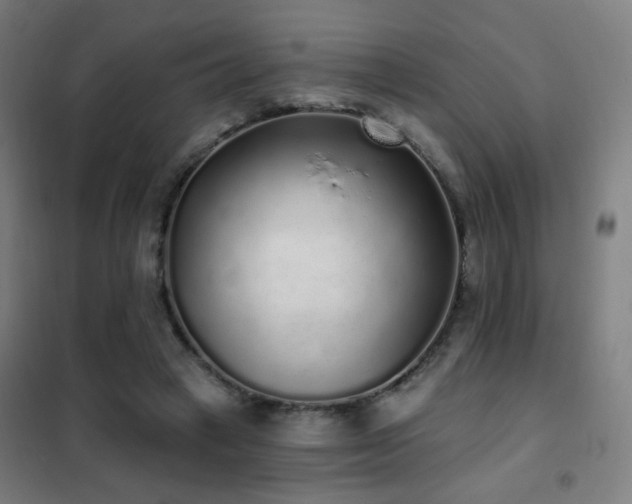 X0000102290449200807251425