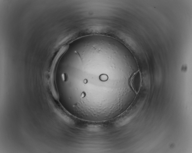 X0000102290450200807251425