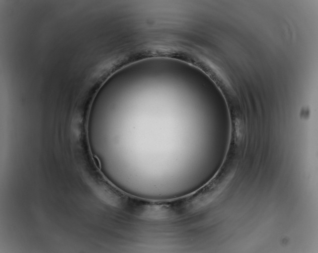 X0000102290451200807251425