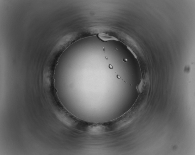 X0000102290452200807251425