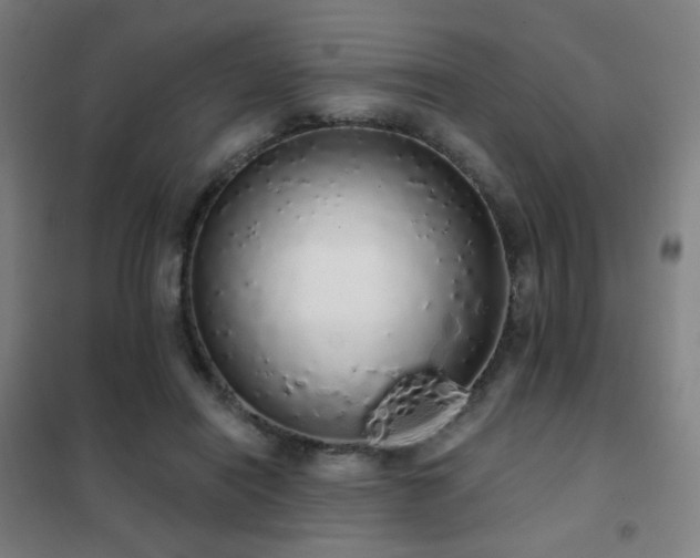 X0000102290454200807251425