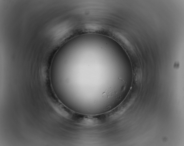 X0000102290455200807251425