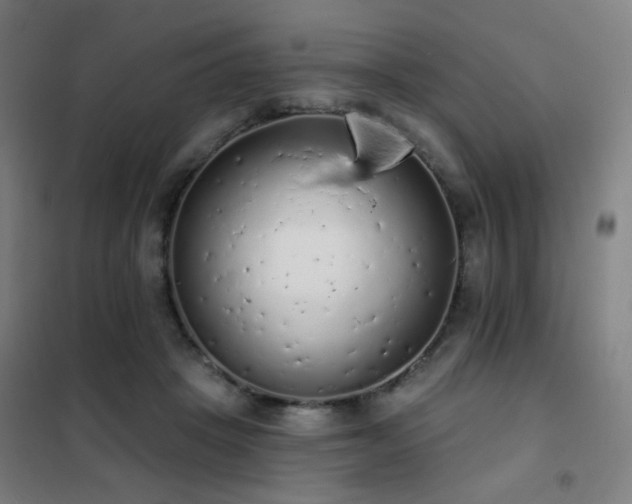 X0000102290457200807251425