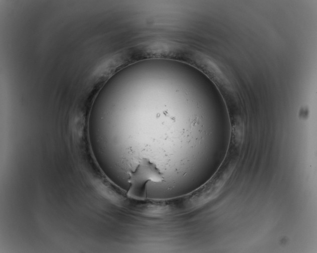 X0000102290458200807251425