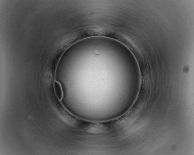 X0000102290459200807251425