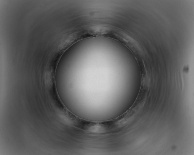 X0000102290460200807251425