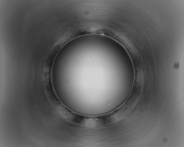 X0000102290461200807251425