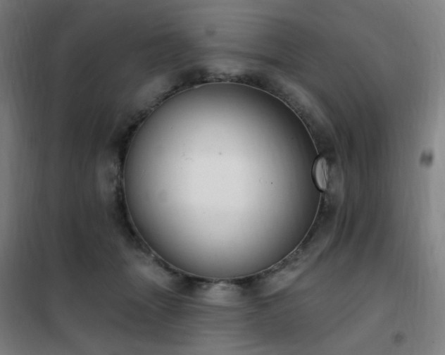 X0000102290463200807251425