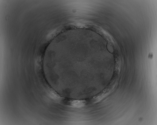 X0000102290465200807251425