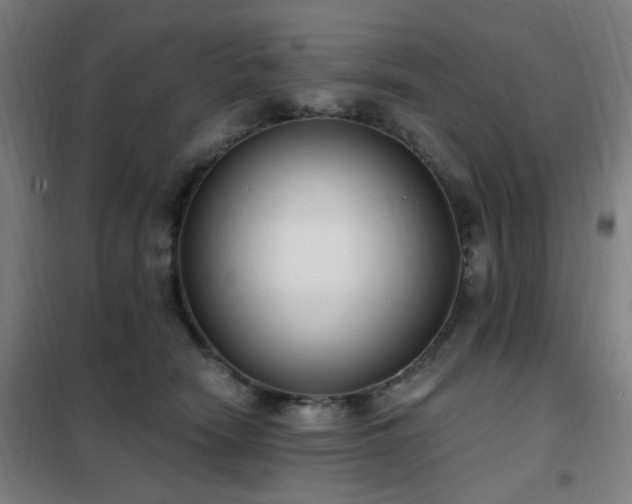 X0000102290466200807251425