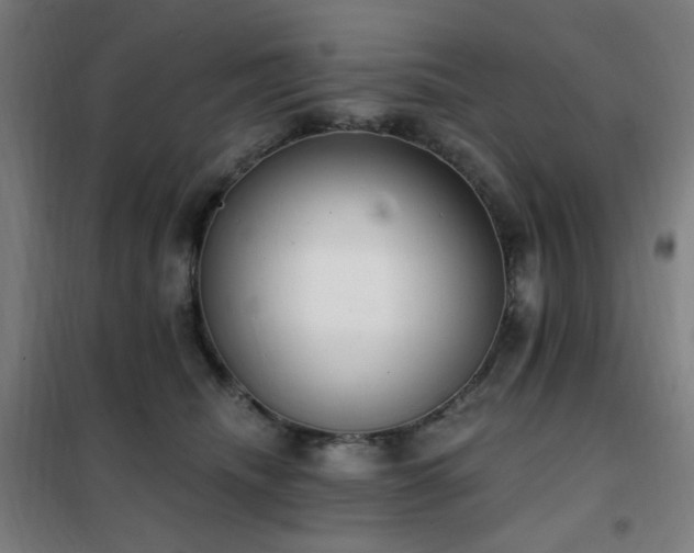 X0000102290468200807251425