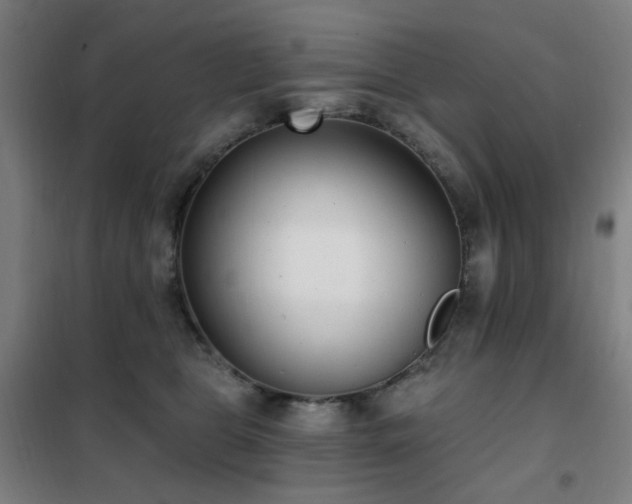 X0000102290469200807251425