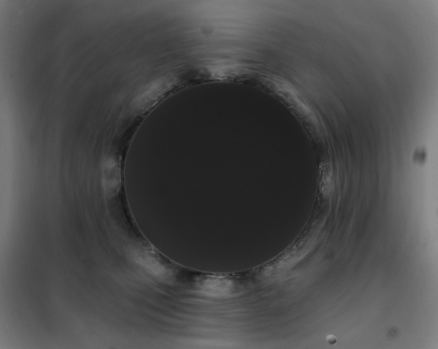 X0000102290471200807251426