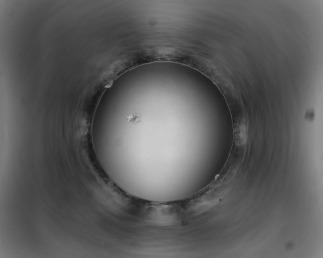 X0000102290472200807251426