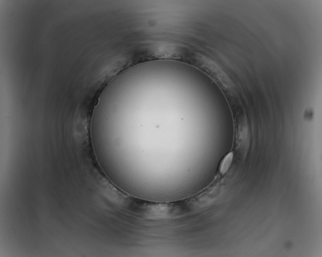 X0000102290473200807251426