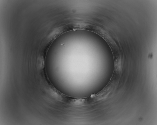 X0000102290474200807251426