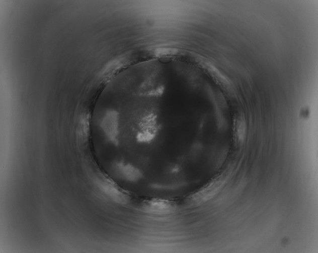 X0000102290475200807251426
